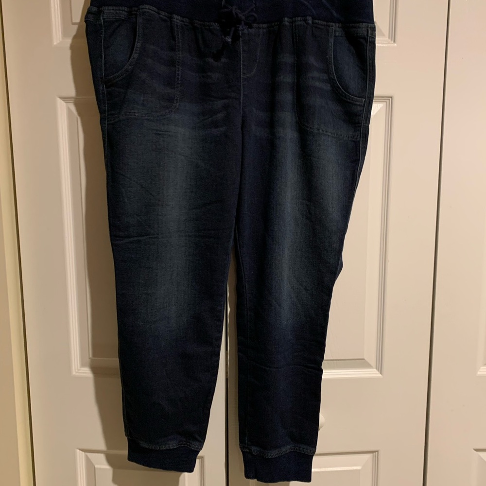 Torrid plus size denim joggers